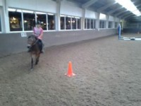 /album/the-best-pony/camera-marjan-1333-jpg/